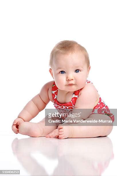 487 Cute Chubby Blonde Stock Photos & High